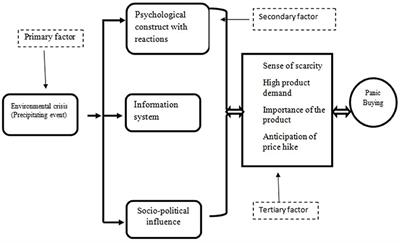 Editorial: Panic Buying: Human Psychology and Environmental Influence